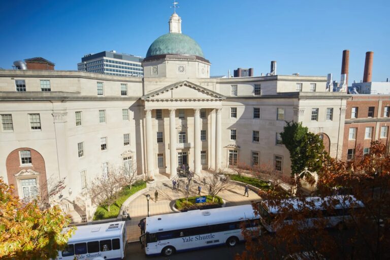 Administração Trump denuncia Yale por práticas discriminatórias contra brancos e asiáticos
