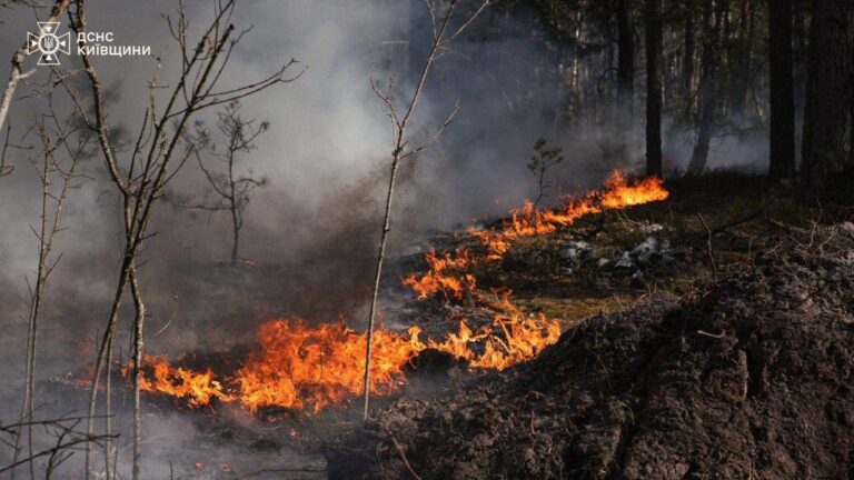 Incêndio florestal em Chernobyl é causado por queda de drone