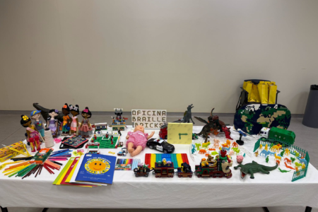 Educadores de Monte Alto recebem treinamento para utilização do LEGO Braille Bricks em oficina regional